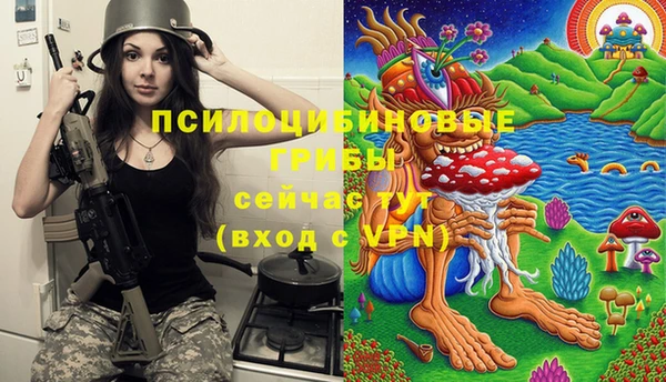 ALPHA PVP Алексеевка