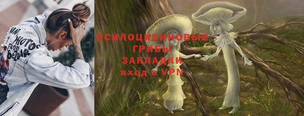 твердый Алзамай