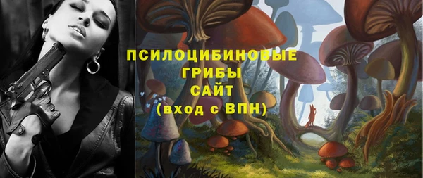 твердый Алзамай