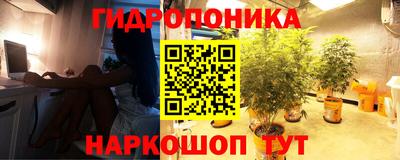 соль ск Татарск
