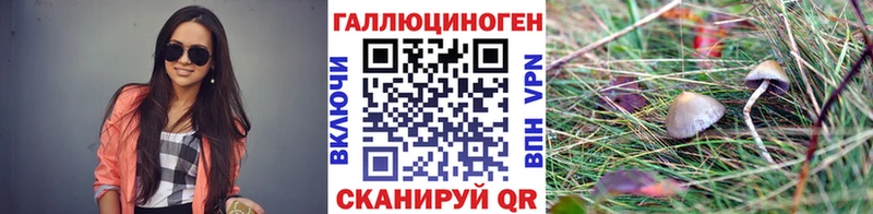 как найти   Нарьян-Мар  Псилоцибиновые грибы Psilocybine cubensis 