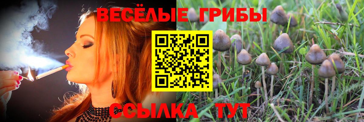 Псилоцибиновые грибы MAGIC MUSHROOMS  Вход с VPN  Нарьян-Мар 