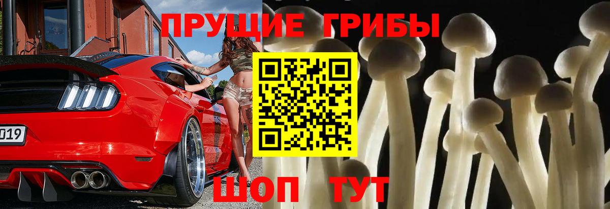 Псилоцибиновые грибы прущие грибы Нарьян-Мар